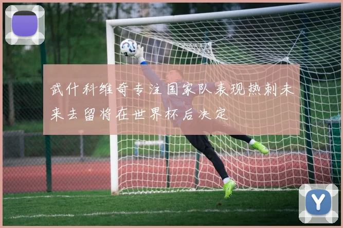 武什科维奇专注国家队表现热刺未来去留将在世界杯后决定