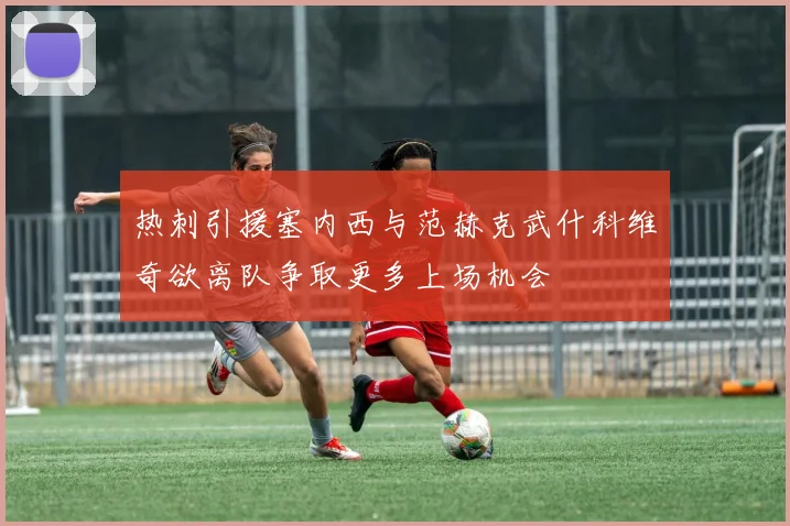 热刺引援塞内西与范赫克武什科维奇欲离队争取更多上场机会