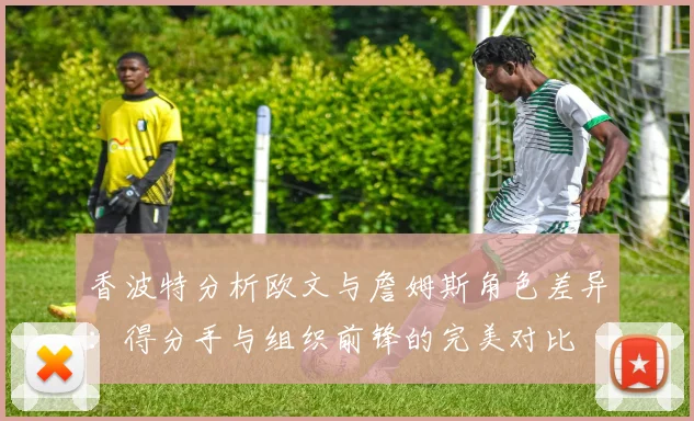 香波特分析欧文与詹姆斯角色差异：得分手与组织前锋的完美对比